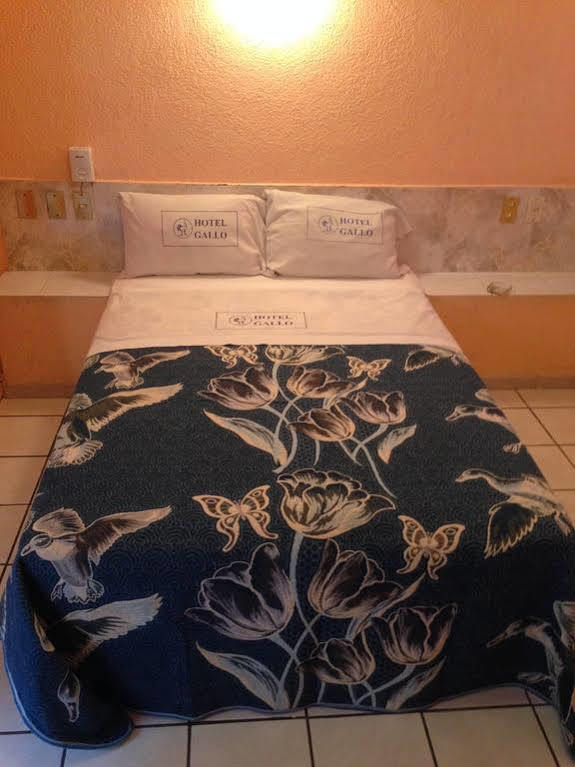 Hotel Gallo Rubio Guadalajara Buitenkant foto